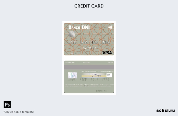 цифровая загрузка шаблона визовой карты Angola Banco de Negócios Internacional